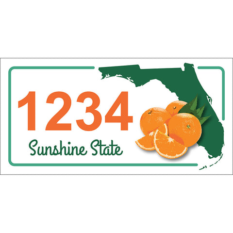 Florida State Address Plaque - 12" x 6"