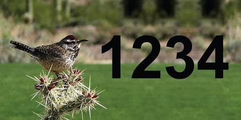 Cactus Wren Address Plaque - 12" x 6"